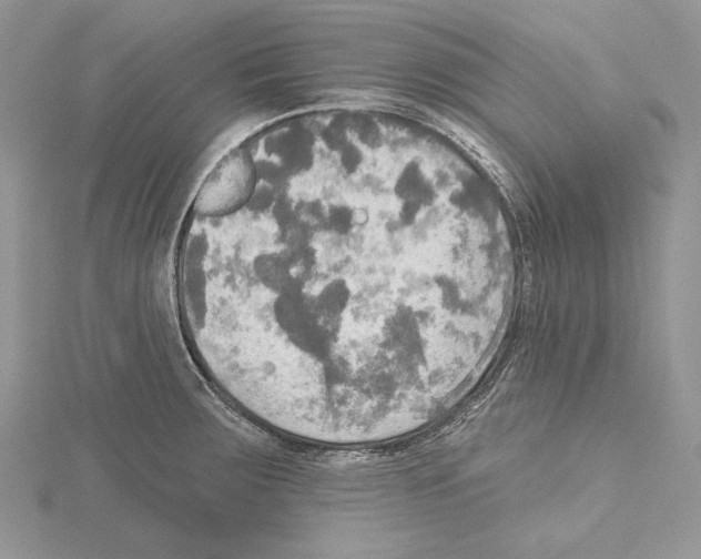 X0000114671283200912021046