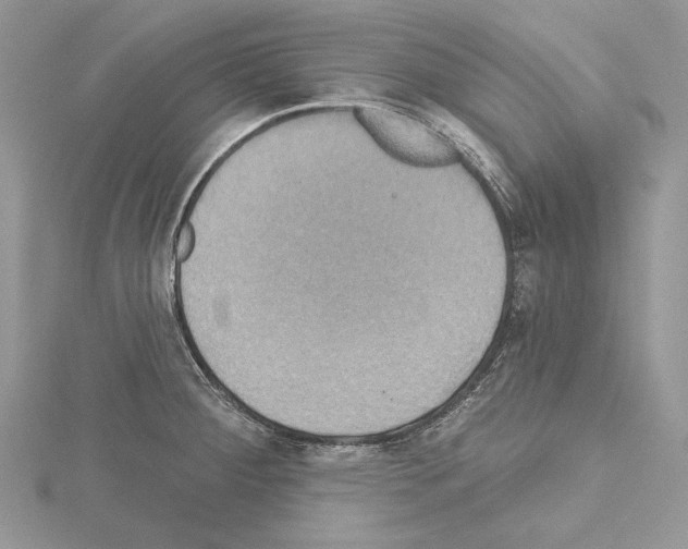 X0000114671284200912021046