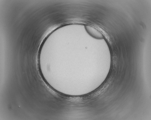 X0000114671285200912021046