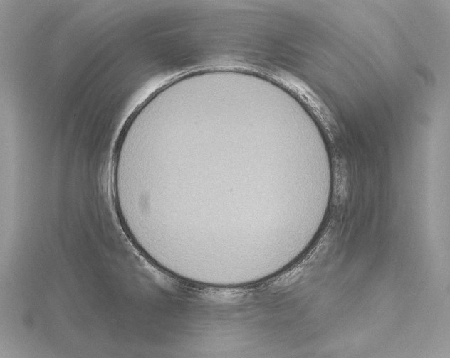 X0000114671286200912021046