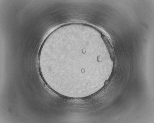 X0000114671287200912021046