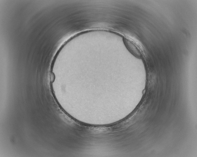 X0000114671288200912021046