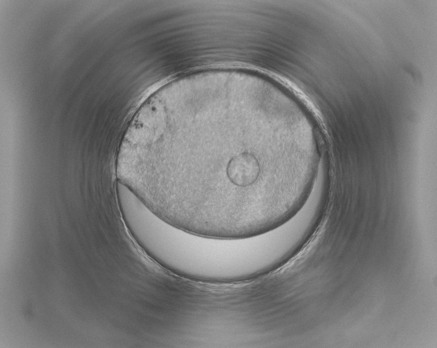 X0000114671289200912021045