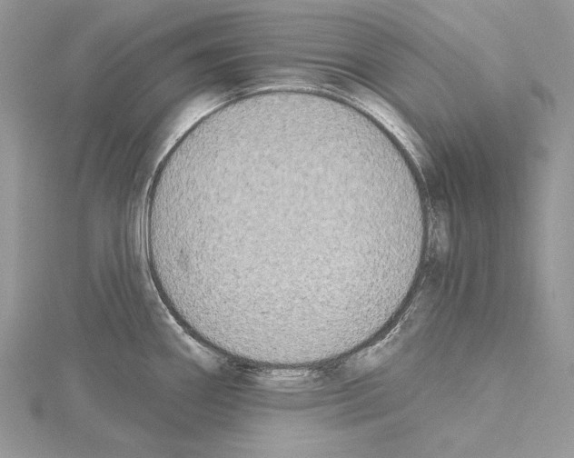 X0000114671290200912021045