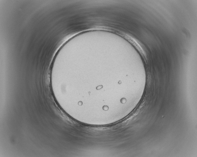 X0000114671292200912021045