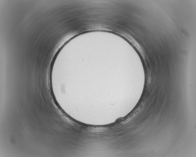 X0000114671293200912021045