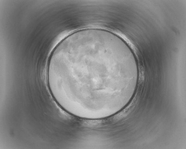 X0000114671294200912021045