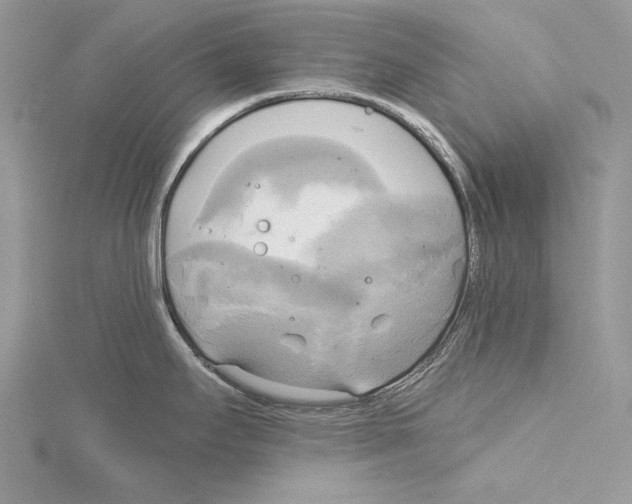 X0000114671295200912021045