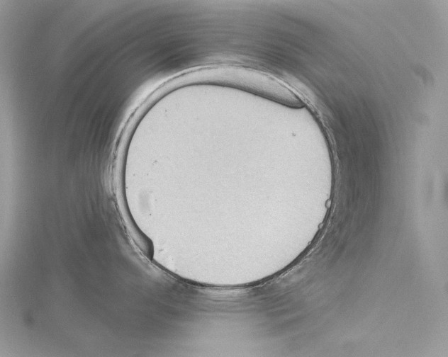 X0000114671296200912021045