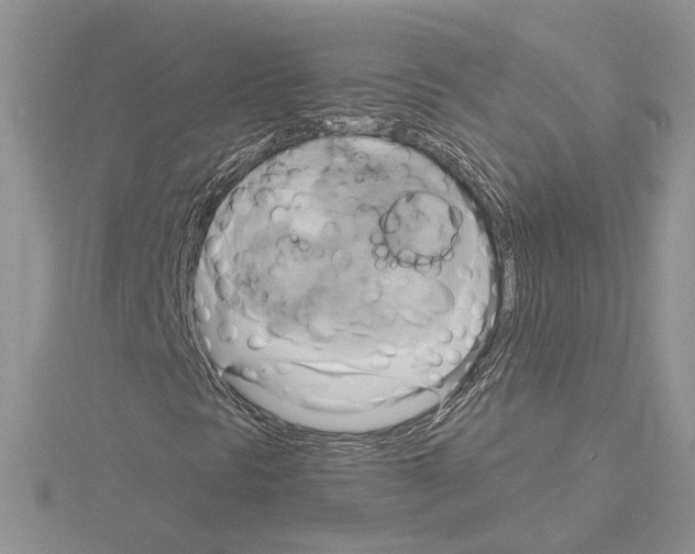 X0000114671297200912021045