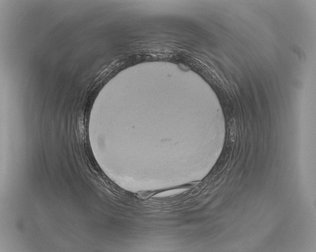 X0000114671298200912021045