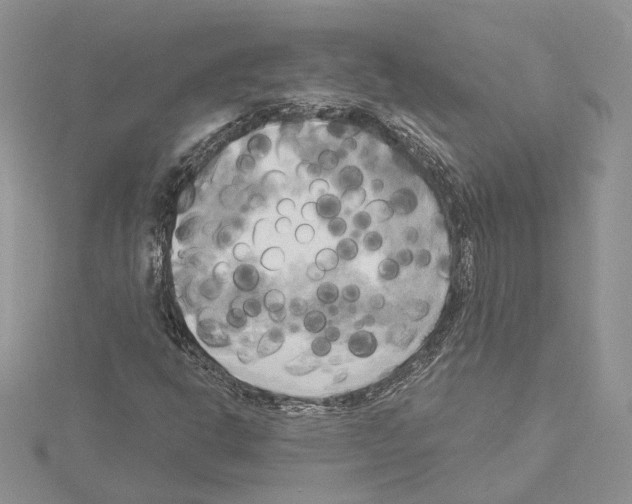 X0000114671302200912021045