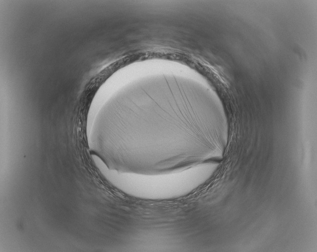 X0000114671303200912021045