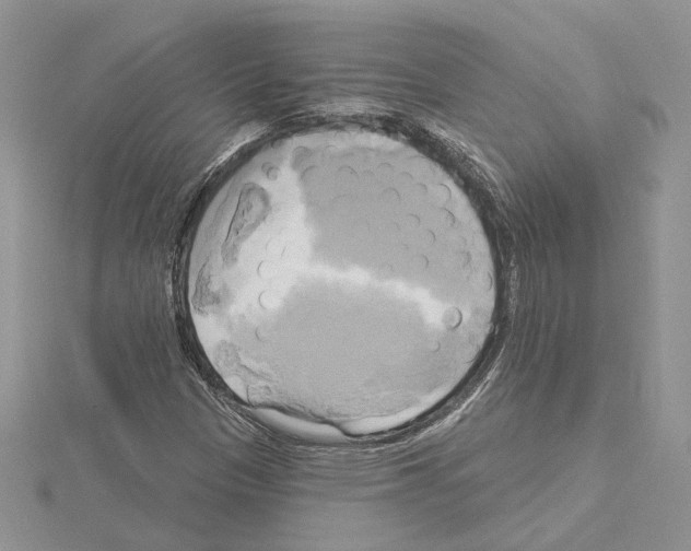 X0000114671305200912021045