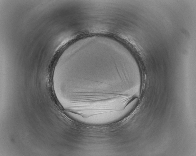 X0000114671306200912021045