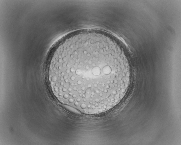 X0000114671311200912021045