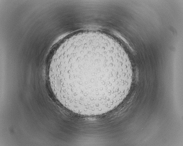 X0000114671315200912021045