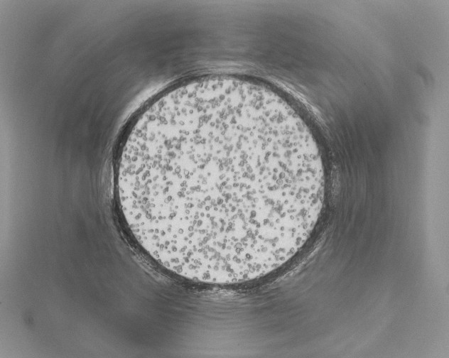 X0000114671317200912021045