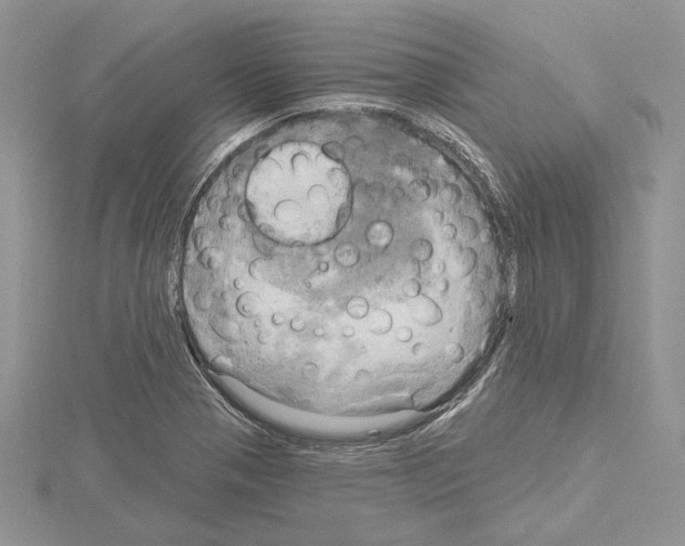 X0000114671321200912021045