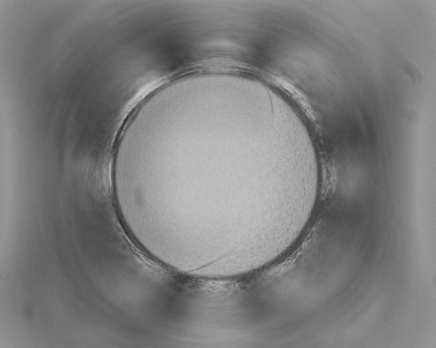 X0000114671322200912021045