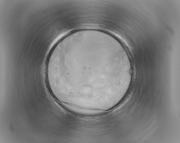 X0000114671325200912021045