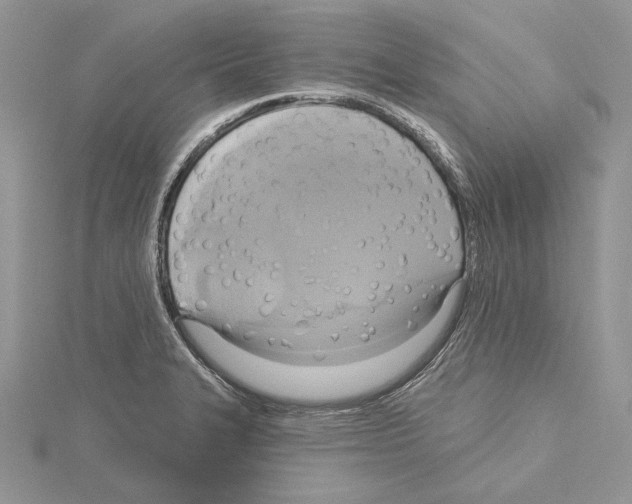 X0000114671327200912021045