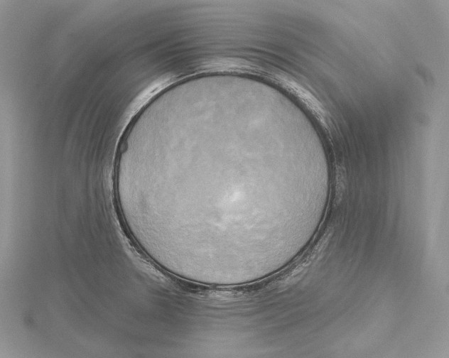 X0000114671330200912021045