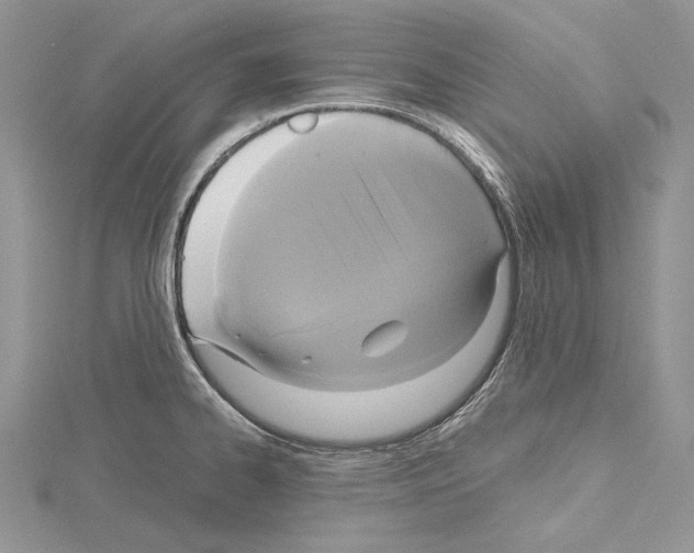 X0000114671334200912021045