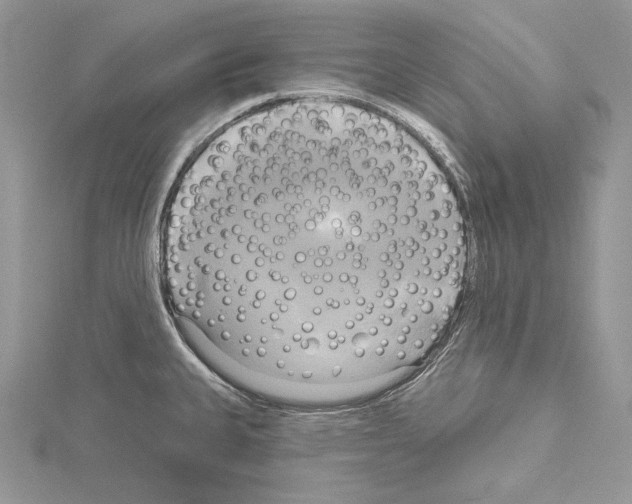 X0000114671335200912021045