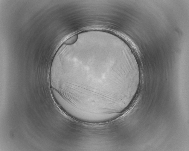 X0000114671337200912021045