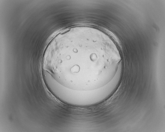 X0000114671338200912021045