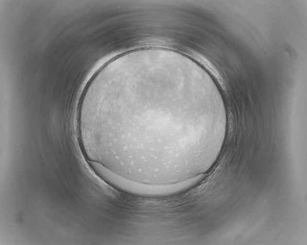 X0000114671339200912021045