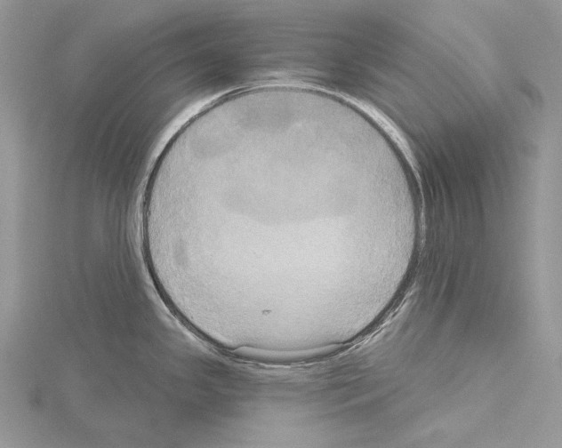 X0000114671341200912021045