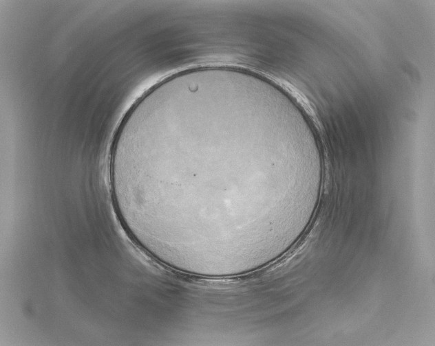 X0000114671342200912021045