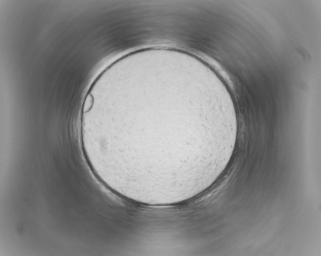 X0000114671343200912021045