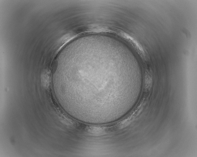 X0000114671361200912021045