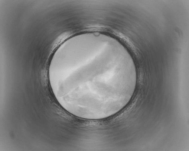 X0000114671362200912021045