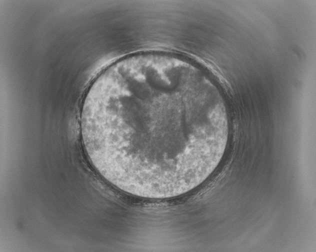 X0000114671363200912021045