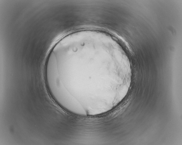 X0000114671365200912021045