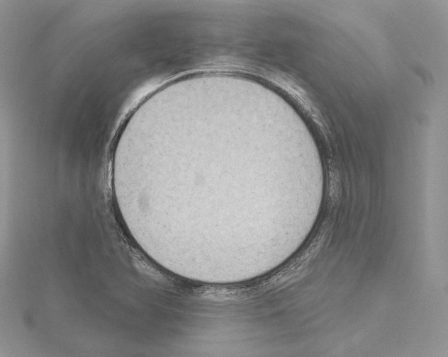 X0000114671366200912021045