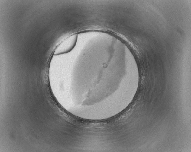 X0000114671367200912021044