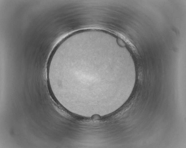 X0000114671372200912021044