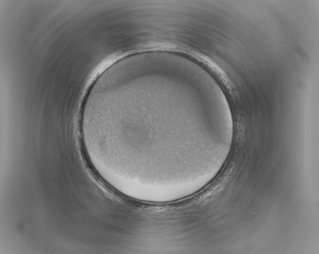 X0000114671373200912021044