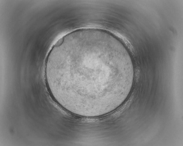 X0000114671374200912021044