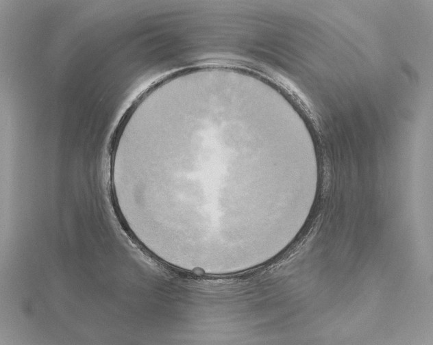 X0000114671376200912021044