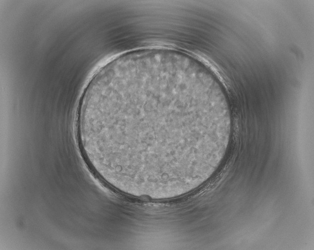 X0000114671379200912021044