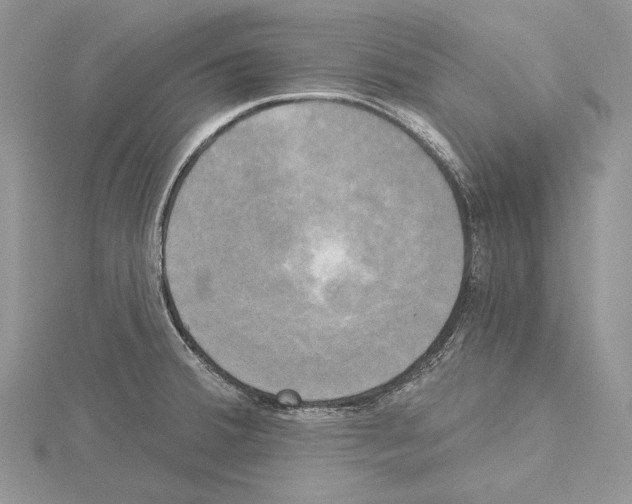 X0000114671380200912021044