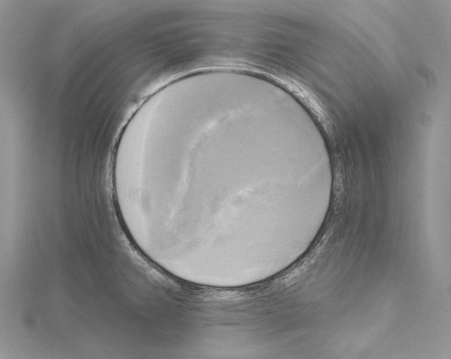 X0000114671382200912021044