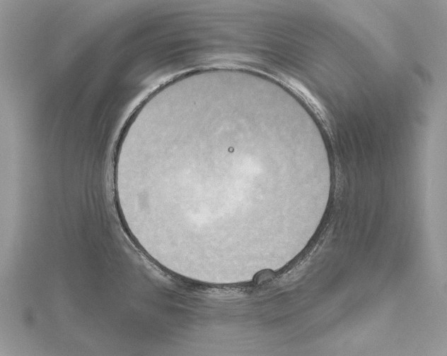 X0000114671384200912021044