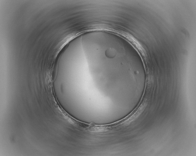 X0000114671385200912021044